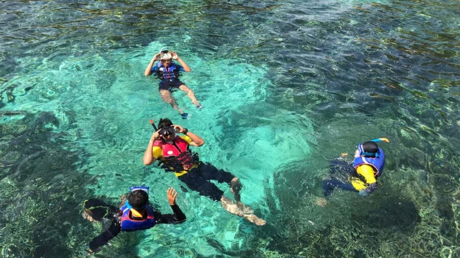 Punta Cana: Saona Island Catamaran Tour with Food & Open Bar - What to bring: your checklist for a long sunny day