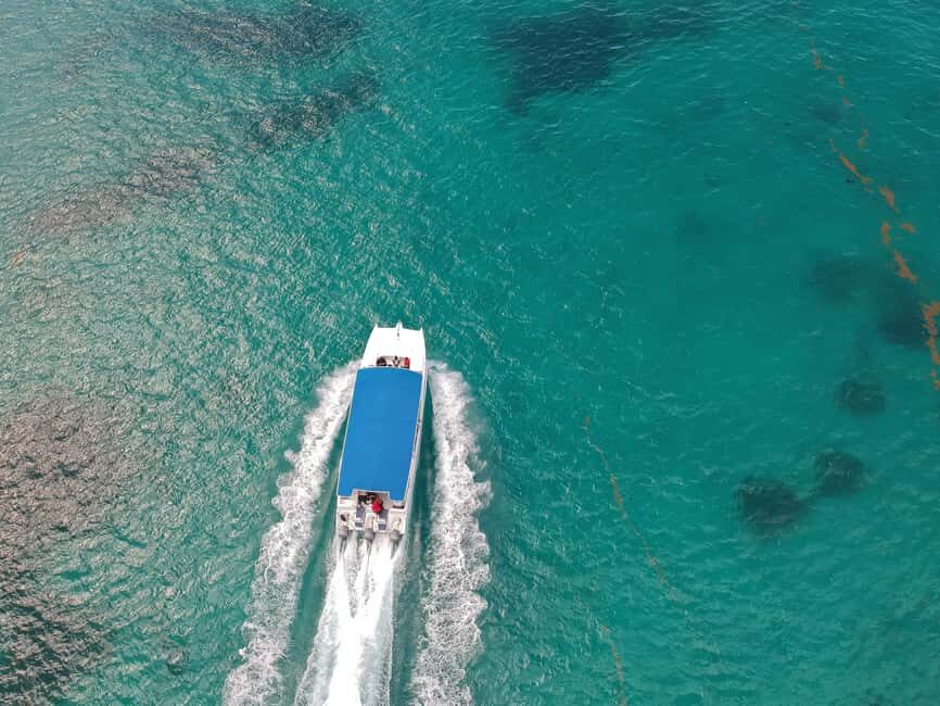 Punta Cana: Saona Island Full-Day All-Inclusive Boat Tour - Catamaran return with music: party energy, loud volume, and comfort trade-offs