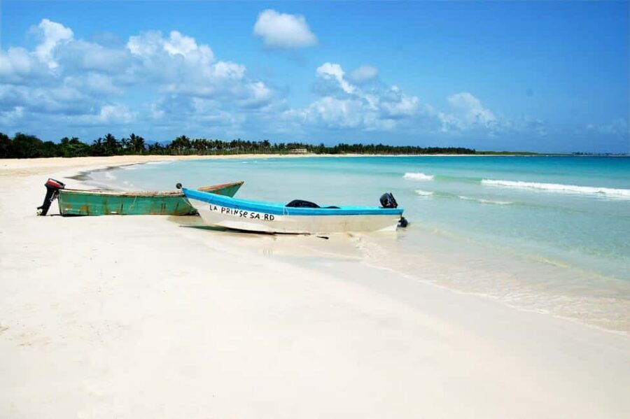 Punta Cana: Saona Island Full-Day Open Bar, Lunch & Transfer - What makes the Saona experience feel special (even with crowds)