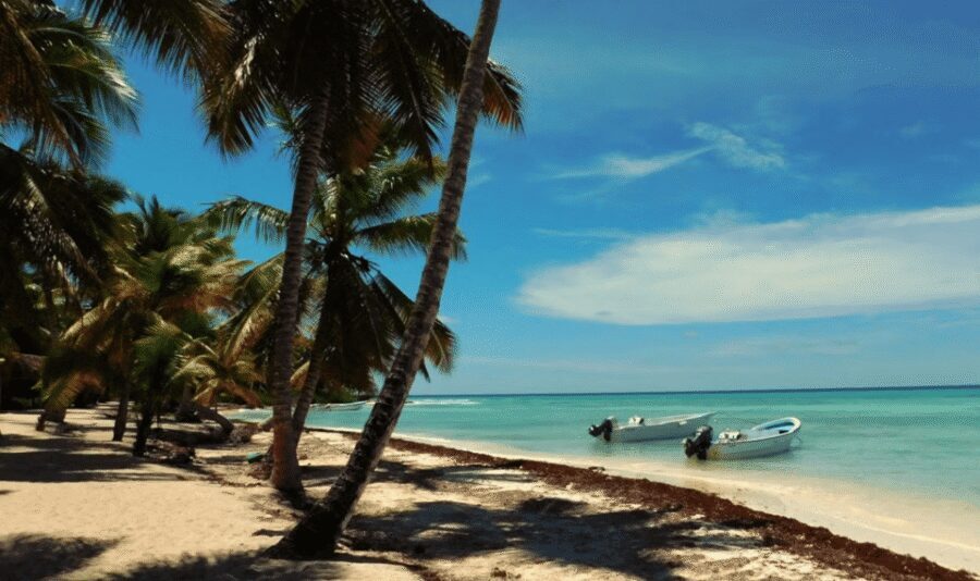 Punta Cana: Saona Island Tour with Lunch and Drinks - Lunch at Palmera Turística beach: filling, simple, and easy