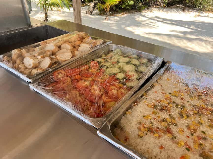 Punta Cana: Saona Island Tour with Lunch and Drinks - Transfers and meeting points: where the tour is smooth and where it needs your attention
