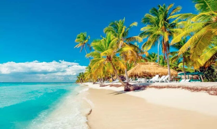 Punta Cana: Saona Island Tour with Lunch and Drinks - Price and value: does $75 make sense for Saona day trips?