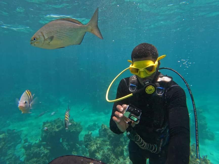 Punta Cana: Scuba Doo Adventure with Round-Trip Transfer - Snorkeling Time: Reef Views After the Scooter Session