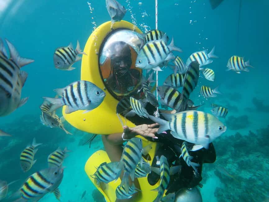 Punta Cana: Scubadoo Ocean Exploration Diving Adventure - Punta Cana’s Cabeza de Toro Coast: the setting for your underwater day