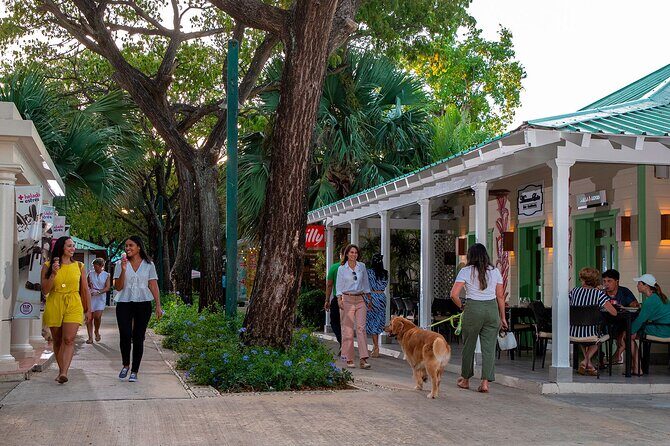 Punta Cana Shopping Tour - Who this Punta Cana shopping tour fits best