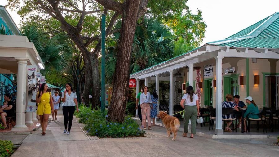 Punta Cana: Shopping Tour with Hotel Pickup and Drop-Off - Key things I’d pay attention to