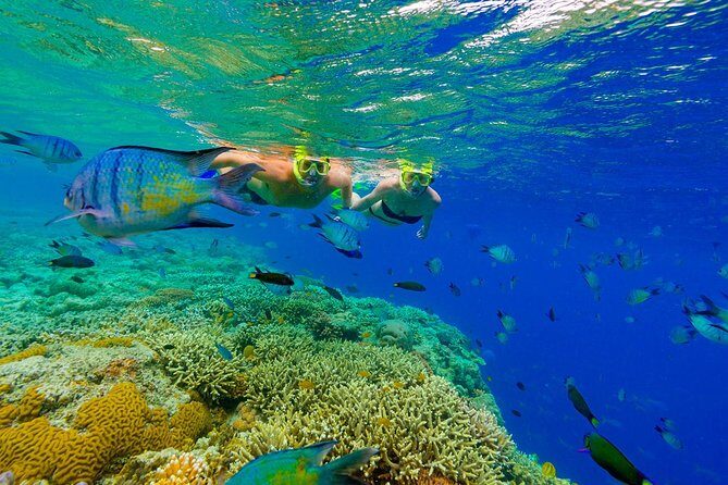 Punta Cana Snorkeling Cruise and Dune buggy Combo Adventure - The hotel break: why the “1.5 hours back” window matters