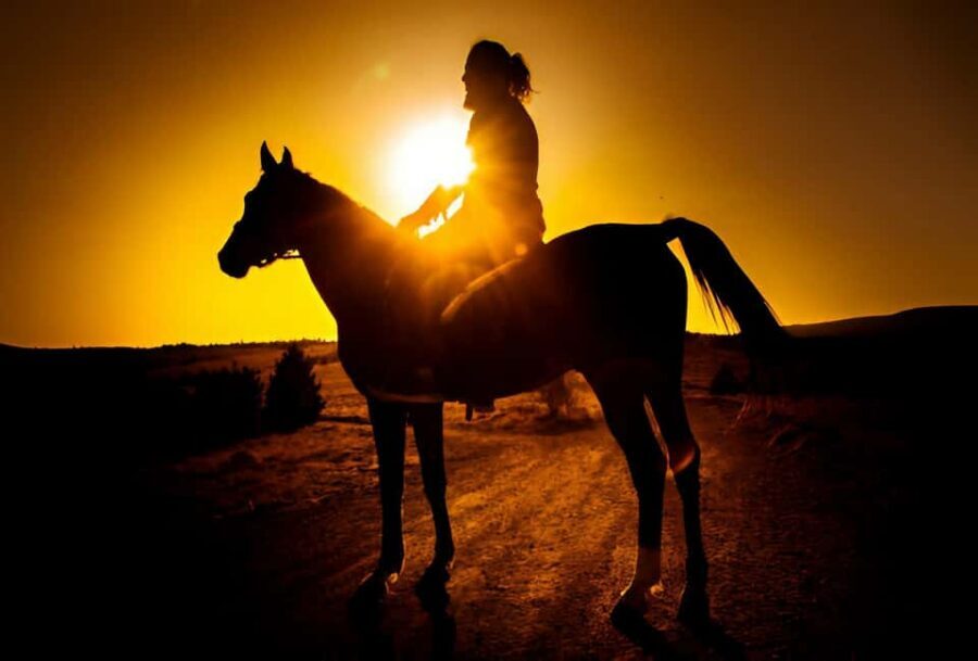 Punta Cana: Sunset Horseback Ride in Macao Beach and Forest - What This Punta Cana Sunset Ride Really Delivers