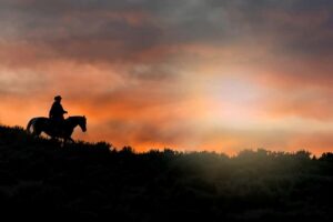Punta Cana: Sunset Horseback Ride in Macao Beach and Forest - Getting From Punta Cana: Transfers and the Pace of the Day