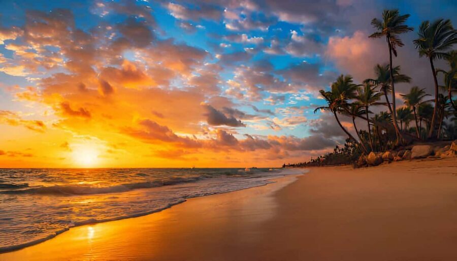 Punta Cana: Sunset Horseback Ride in Macao Beach and Forest - Riding Through the Forest: The Part That Feels Like a Secret Route