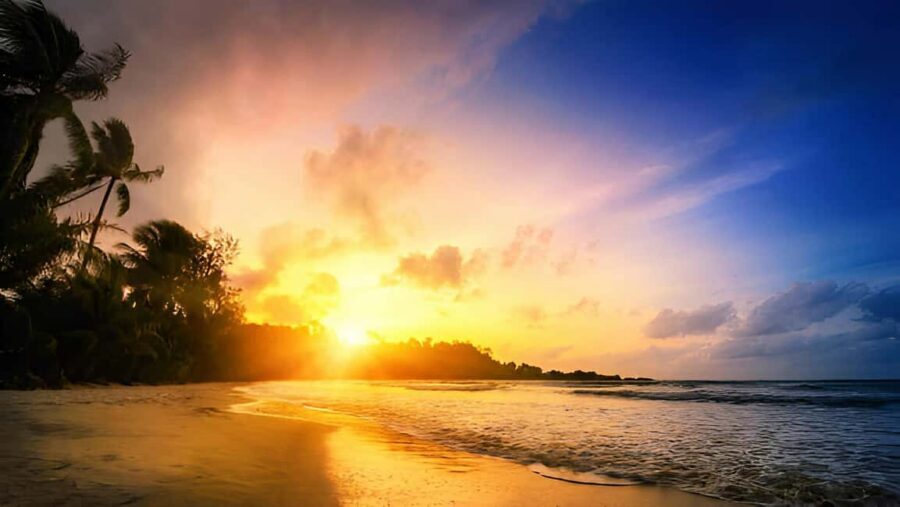 Punta Cana: Sunset Horseback Ride in Macao Beach and Forest - Macao Beach at Sunset: Golden Light, Ocean Views, and Photo Time