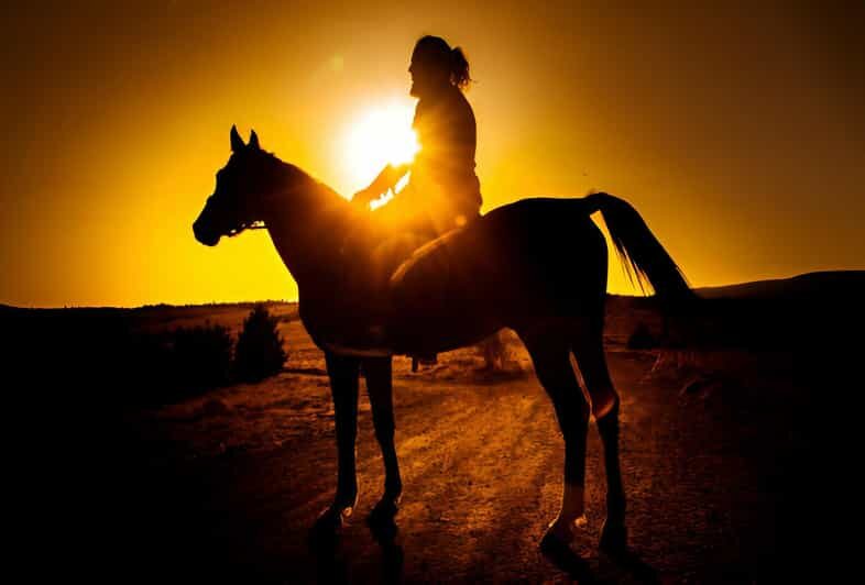Punta Cana: Sunset Horseback Ride in Macao Beach and Forest - Safety and Horse Care: Why Most Riders Leave Smiling