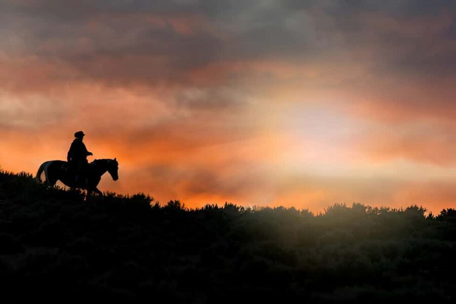 Punta Cana: Sunset Horseback Ride in Macao Beach and Forest - Getting From Punta Cana: Transfers and the Pace of the Day