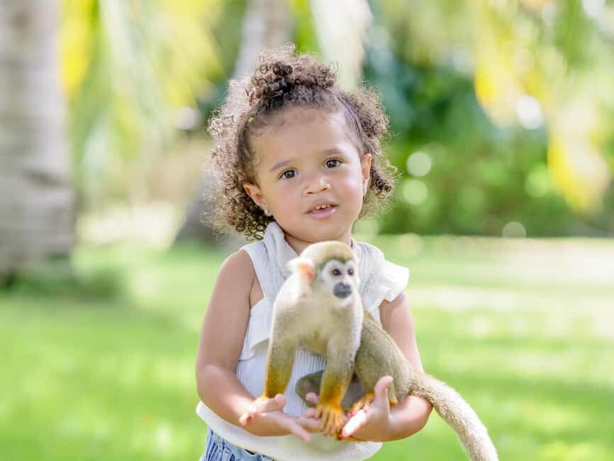 Punta Cana: Tour Monkey Adventure With Hotel Pick Up - Bottle-Feeding a Baby Monkey: The Tender Moment (and What to Watch for)