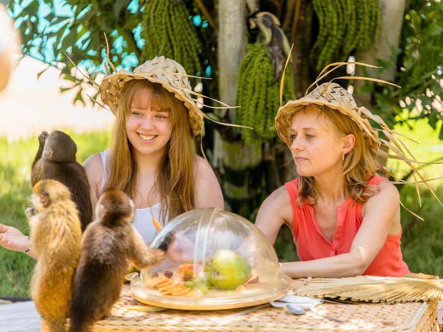 Punta Cana: Tour Monkey Adventure With Hotel Pick Up - Handlers, Behavior, and the Real Meaning of Small-Group Time