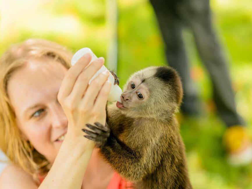 Punta Cana: Tour Monkey Adventure With Hotel Pick Up - What to Pack for Monkey Time in La Altagracia