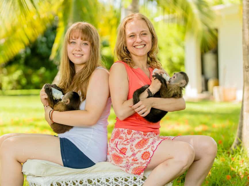 Punta Cana: Tour Monkey Adventure With Hotel Pick Up - Who This Tour Fits Best (And Who Might Want Another Option)