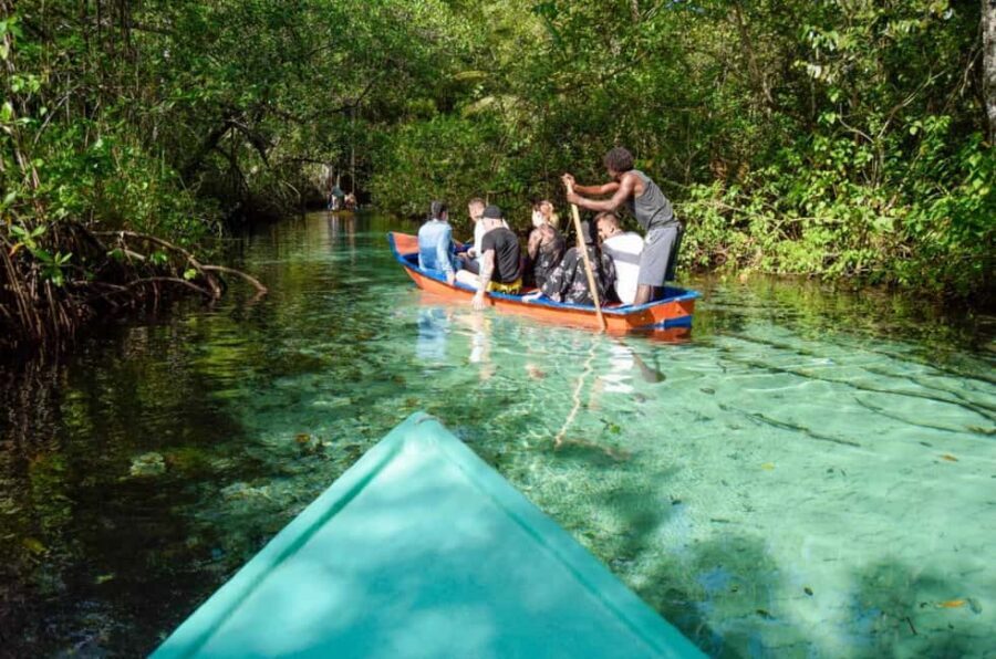 Punta Cana: Whale Watching, Cayo Levantado & Limon Waterfall - From Punta Cana to Samaná: how this one-day schedule really feels
