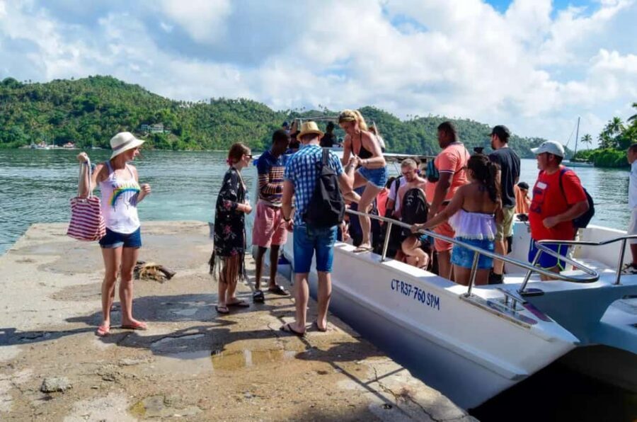 Punta Cana: Whale Watching, Cayo Levantado & Limon Waterfall - Whale watching off Samaná: plan for wonder, not a guarantee