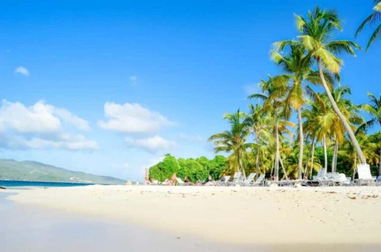 Punta Cana: Whale Watching, Cayo Levantado & Limon Waterfall - The bus ride and getting to La Cañita: the setup that decides your mood