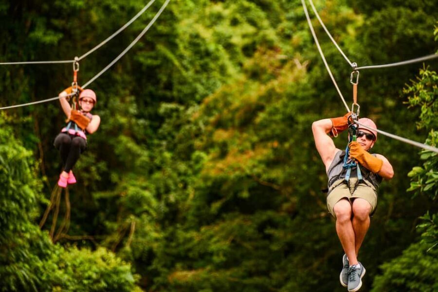 Punta Cana: Zip-Lining 12 Cables - Included Food and On-Site Culture: Fruits, Coffee, and Local Products