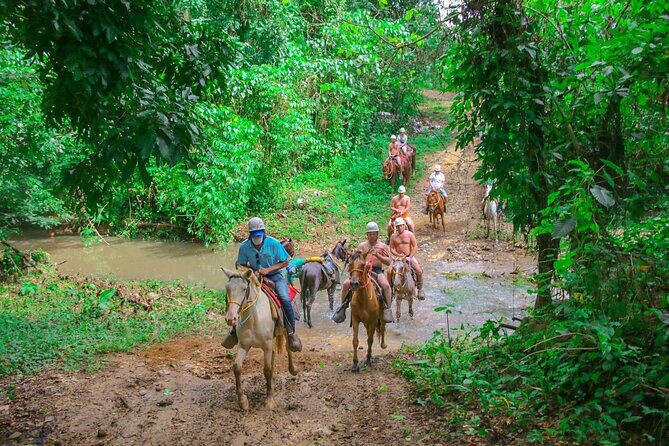 Punta Cana Zipline Adventure with Buggies and Horseback Riding - A Jungle Circuit in Punta Cana: Zipline, Horses, and Buggies