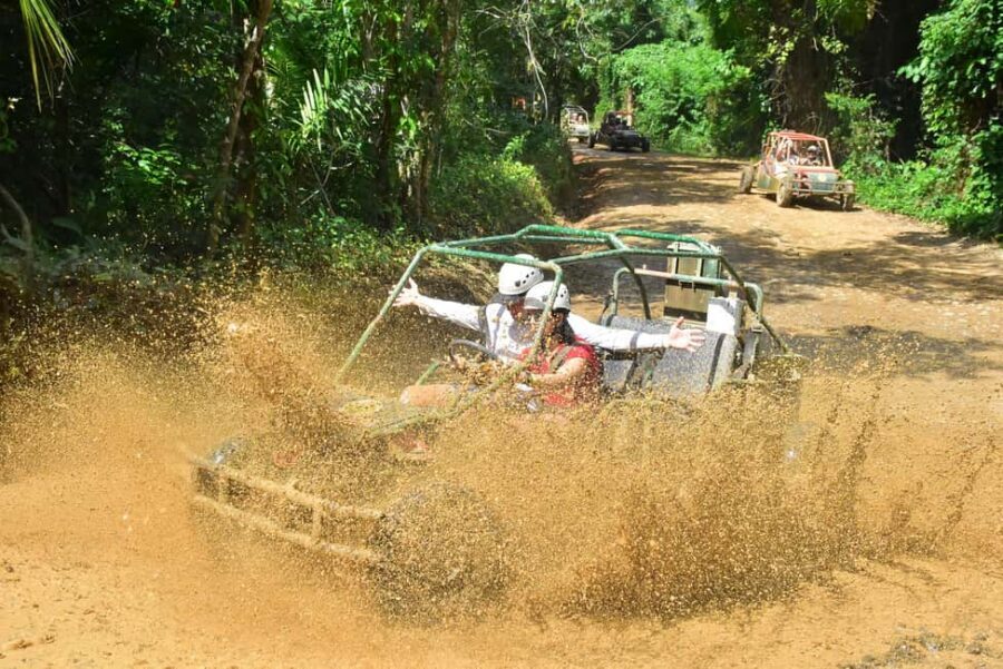 Punta Cana: Zipline, Chairlift, Buggy & Horse Ride Adventure - Lunch and cultural safari: Mamajuana, coffee, buffet, and village life