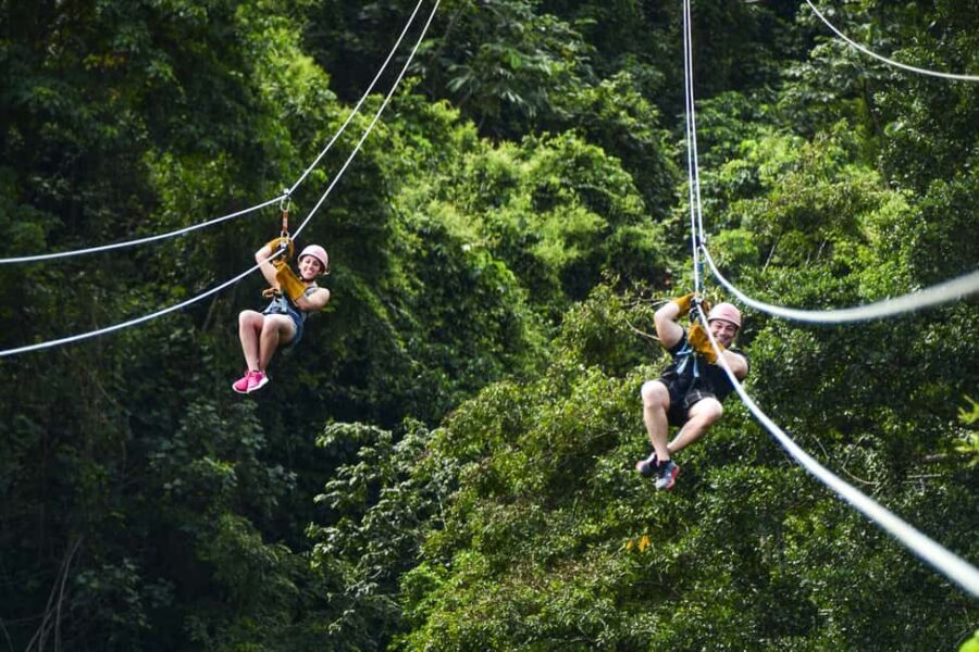 Punta Cana: Ziplines Adventures & Monkeyland Entry - The zip-line circuit: 18 platforms, 12 lines, and the thrill of racing in pairs