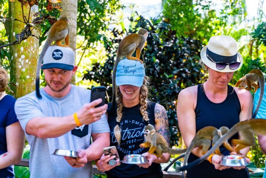 Punta Cana: Ziplines Adventures & Monkeyland Entry - Coconut House and local tasting: what you learn (and what you actually get to try)