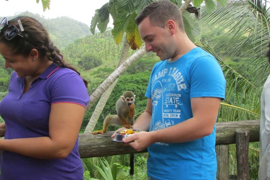 Punta Cana: Ziplines Adventures & Monkeyland Entry - FAQ