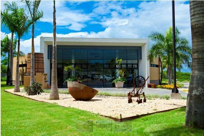 Ron Barcelo Anejo Experience Factory Tour - Key Points That Make This Tour Click