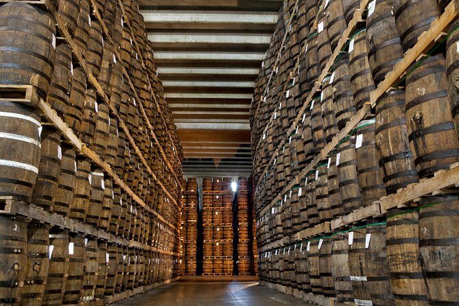Ron Barcelo Anejo Experience Factory Tour - Getting Oriented: Where This Tour Fits in Santo Domingo