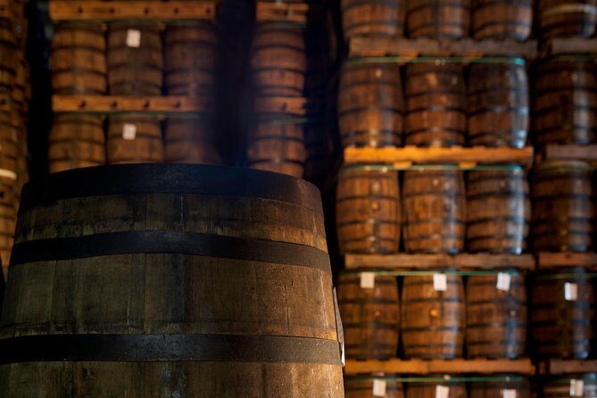 Ron Barcelo Anejo Experience Factory Tour - The Full Tour Flow: What You’ll Do During Your 90 Minutes