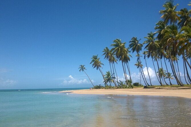 Round Mountain + Beach + Horse + Lunch - Montaña Redonda: 360° Lagoon Views That Make Cameras Worth It