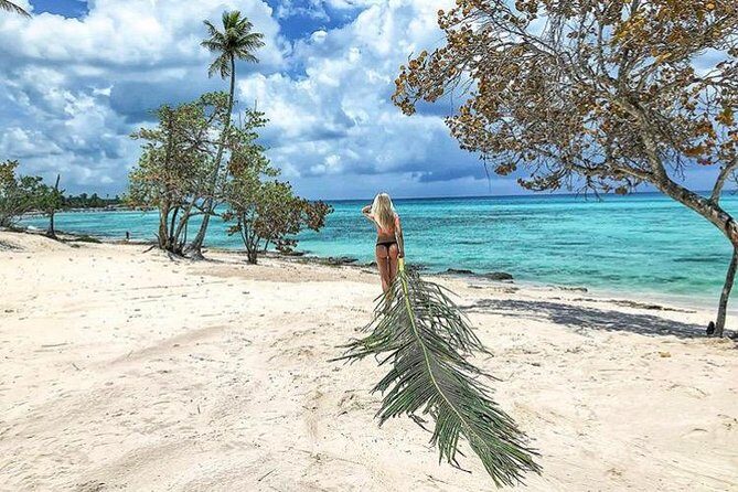 Round Trip Punta Cana Airport Shuttle - From landing to hotel: what the airport-to-room ride feels like
