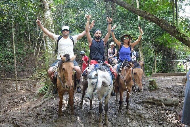 Samana - Key Levantado - Limon Waterfall - Horseback Riding - Horseback riding: the highlight with a physical edge