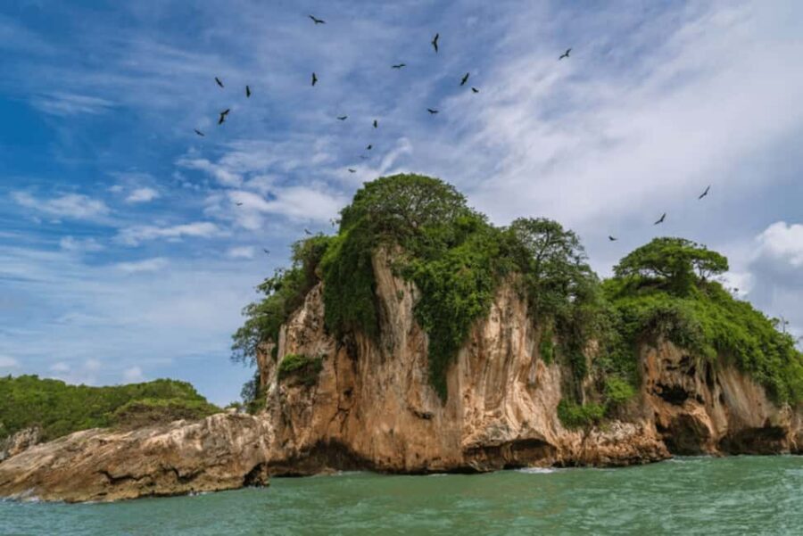 Samana: Visit Samana, Los Haitises Park, and Cayo Levantado Island - Los Haitises mangroves: birds, still water, and karst rock