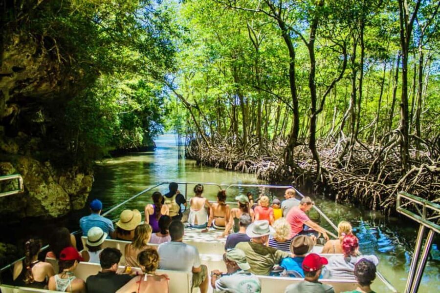 Samana: Visit Samana, Los Haitises Park, and Cayo Levantado Island - Santa Bárbara de Samaná city tour: a quick local context stop