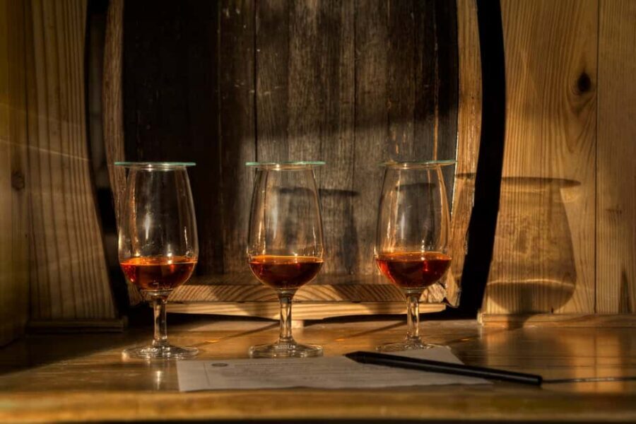 San Pedro De Macoris: Ron Barcerló Rum Factory Tour - Logistics and practical tips so you don’t waste time