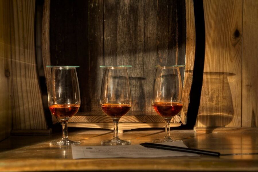 San Pedro De Macoris: Ron Barcerló Rum Factory Tour - Should you book this tour?