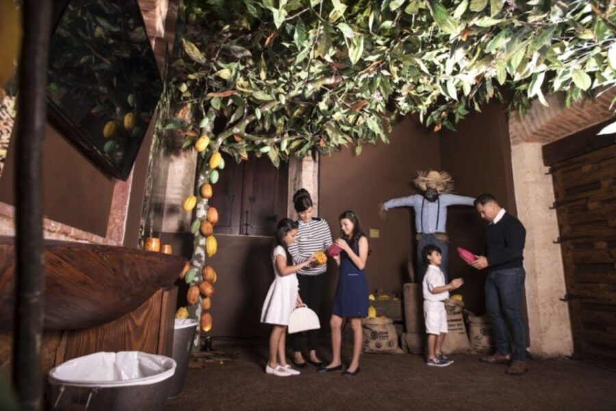 Santo Domingo: Chocolate Tour + Optional Workshops - Sensory Room: the 5-senses challenge and percentage tastings