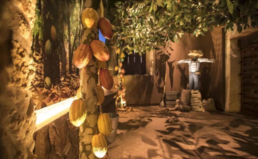 Santo Domingo: Chocolate Tour + Optional Workshops - Who should book this KahKow chocolate tour