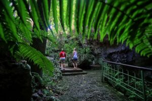Santo Domingo: Three Eyes National Park Guided Tour - Price and what $35 buys you (and what to budget extra)