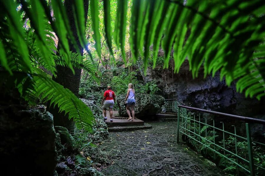 Santo Domingo: Three Eyes National Park Guided Tour - Price and what $35 buys you (and what to budget extra)