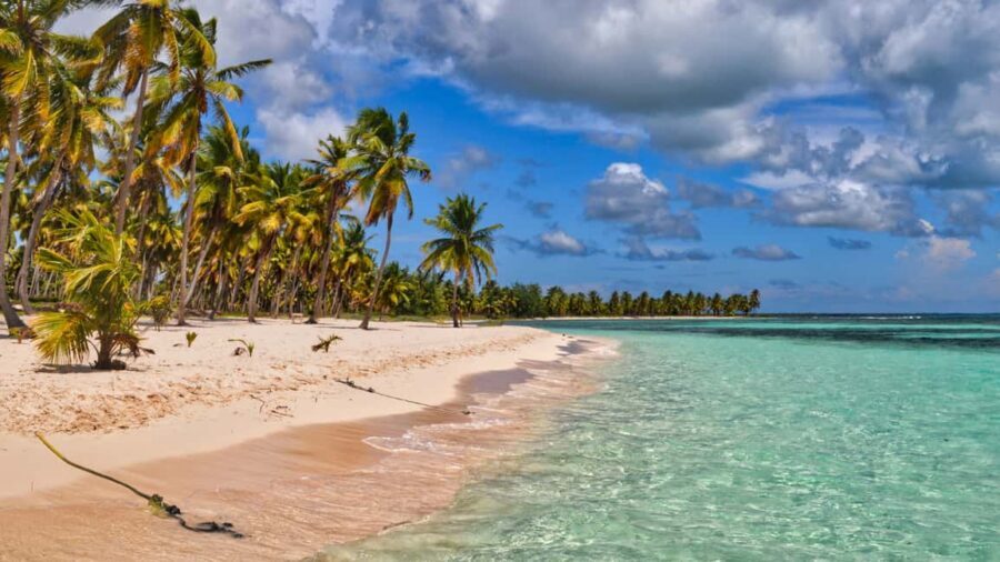 Saona Island: Catamaran Excursion with Lunch and Drinks - Saona Island from Bayahibe: what makes this day tick