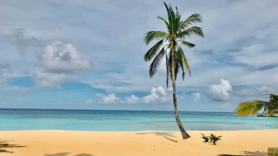 Saona Island: Catamaran Excursion with Lunch and Drinks - Saona Island arrival: what the island portion really feels like