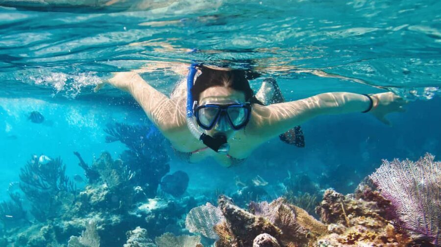 Saona Island: Catamaran Excursion with Lunch and Drinks - Lunch at noon: Dominican buffet, timing, and drinks strategy