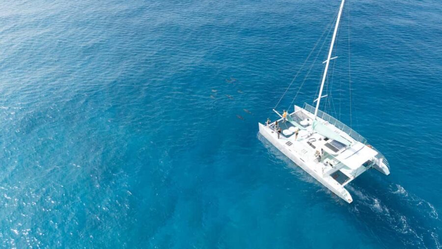 Saona Island: Catamaran Excursion with Lunch and Drinks - The afternoon reset: more island time vs. keeping expectations realistic