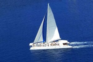 Saona Island: Catamaran/Speedboat Tour to a Dream Beach - Catamaran cruise through Cotubanamá: the music-and-water part