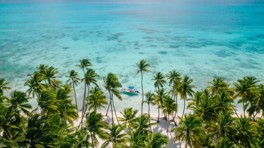 Saona Island: Catamaran/Speedboat Tour to a Dream Beach - Saona Island beach time: white sand, coconut palms, and a buffet within reach